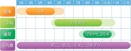 アレルゲン(アレルギーの原因物質)